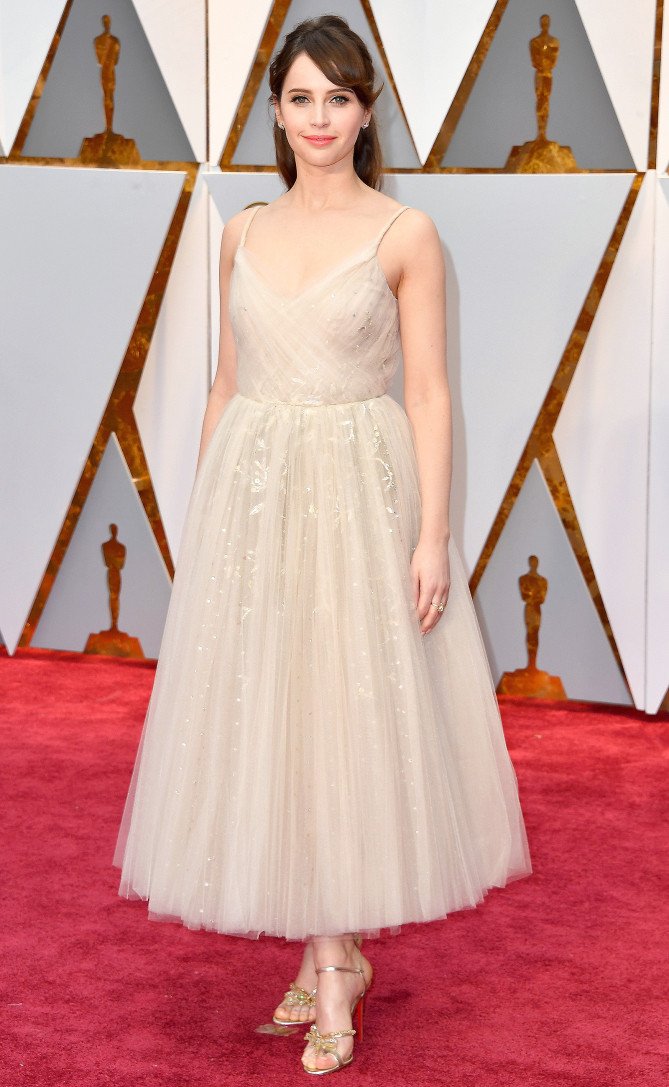 Felicity Jones attended the 2017 Oscars in Dior